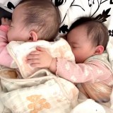 0歳当時の双子の娘さんたち（TikTok／@shinamia.pより）