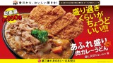 『あふれ盛り肉カレーうどん』