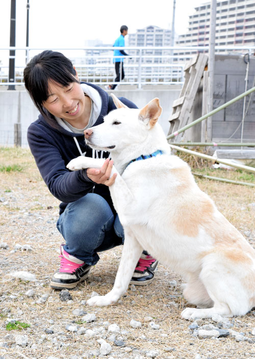 写真