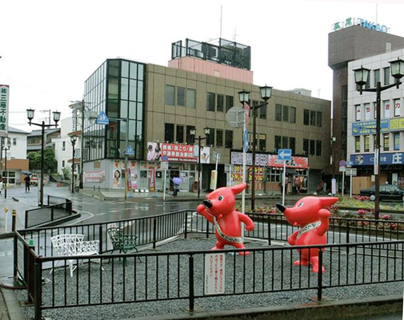 写真