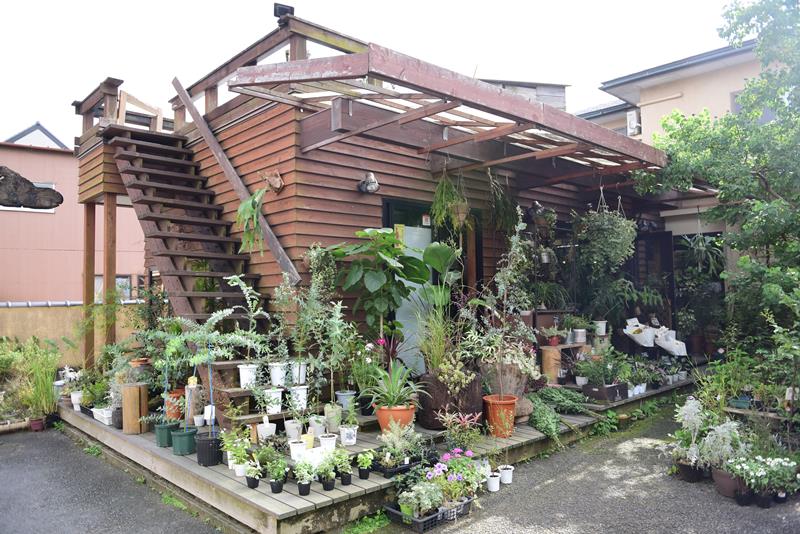 落ち着いた雰囲気の外観。観葉植物の品ぞろえを増やしている
