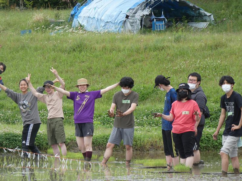 有機農法の田植えを楽しむ参加者=長南町
