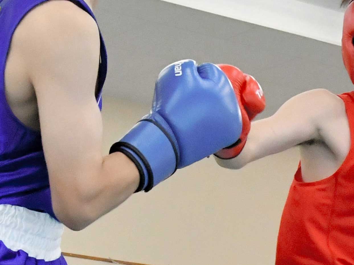 写真はイメージ