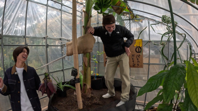 2月15日放送『ザ！鉄腕！DASH!!』より（C）日本テレビ