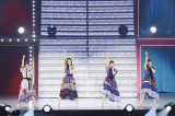 乃木坂46「5th ALBUM MEMORIAL LIVE『My respect』」ライブ写真（C）乃木坂46LLC