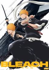 『BLEACH』尸魂界篇のスペシャルビジュアル（C）久保帯人／集英社・テレビ東京・ｄｅｎｔｓｕ・ぴえろ