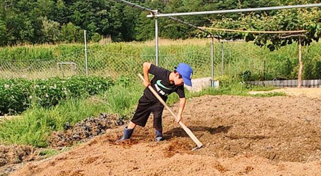 農作業に励む小学生の息子さん（@farm_docanより）