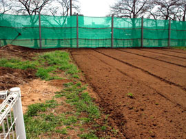 男性教諭が子猫を生き埋めにした学校敷地内。子猫は防球ネット近くに埋めた後、敷地内の別の場所に埋葬し直したという=23日、船橋市の県立薬園台高校