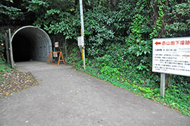 小冊子で紹介する戦争遺跡「館山海軍航空隊赤山地下壕（ごう）跡」＝館山市宮城