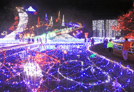 広大な自然公園に飾り付けられたクリスマスイルミネーション＝市原市柿木台の「いちはらクオードの森」