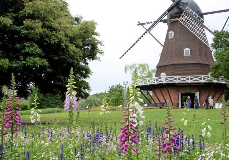 顧客満足度ランキングで４位に入った船橋市のふなばしアンデルセン公園