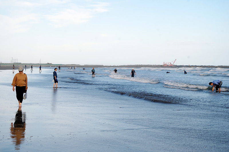 海岸には熊手や袋を手にしてハマグリを拾う人が連日訪れている＝１９日、九十九里町