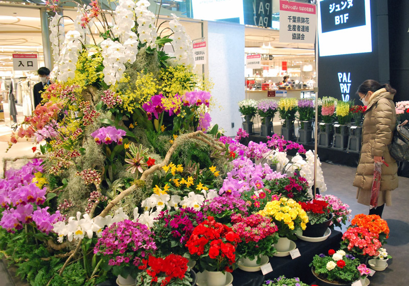 イベントの相次ぐ中止で需要が低迷する県産花を使った展示＝２３日、千葉市中央区のそごう千葉店