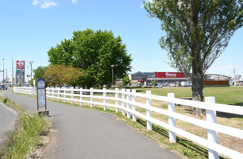 牧場をイメージさせる白い柵に囲われている新木戸大銀杏公園＝富里市七栄