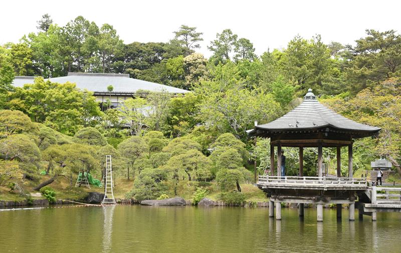かつて水田だったという成田山公園の池の一つ「竜智の池」。写真奥にあるのは成田山書道美術館＝成田市