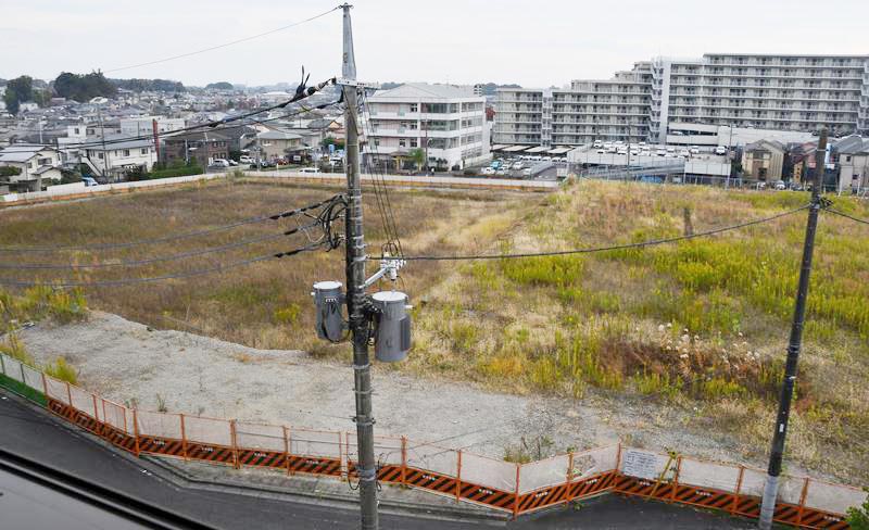 木が伐採された後、共同住宅などの開発が実現しないまま空き地となった土地