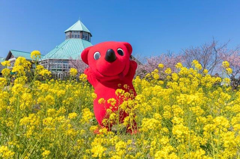 千葉県が「千葉とく旅キャンペーン」を全面停止