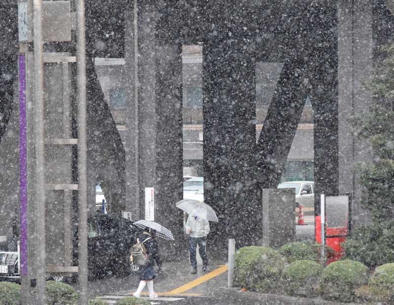 雪が舞う中、傘を差して県庁前を行き交う人たち=6日午後0時15分ごろ、千葉市中央区