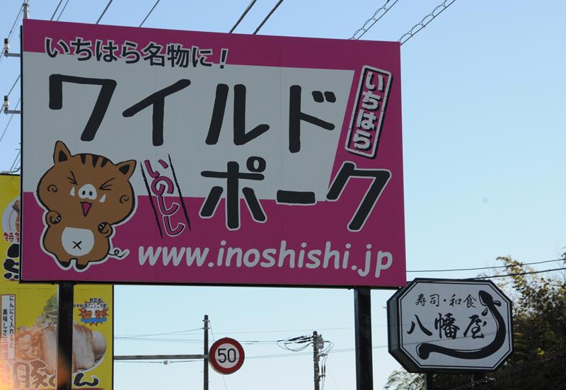 八幡屋前の道路沿いにある「ワイルドポーク」のＰＲ看板