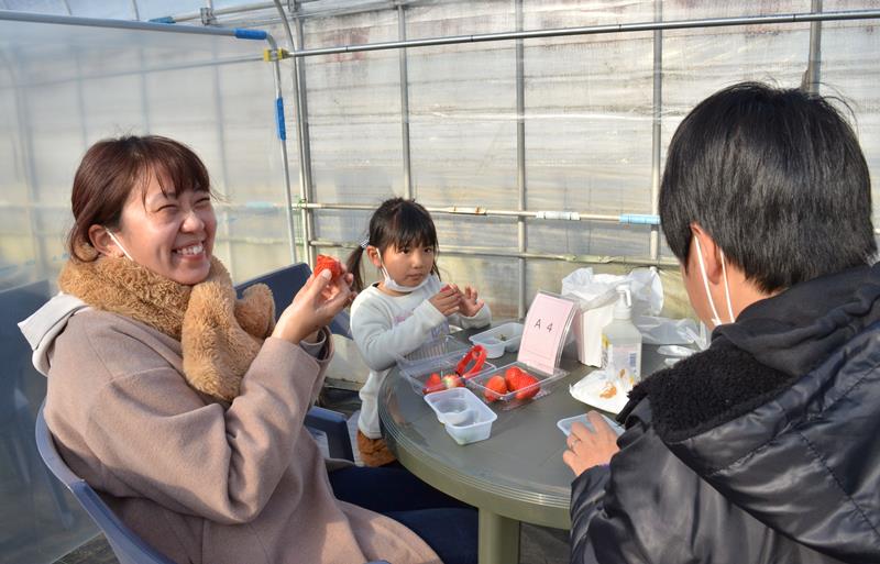 摘み取ったイチゴを感染対策のため設けた食事スペースで味わう家族連れ