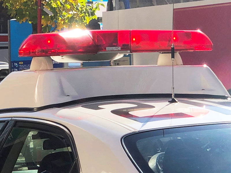 写真はイメージです