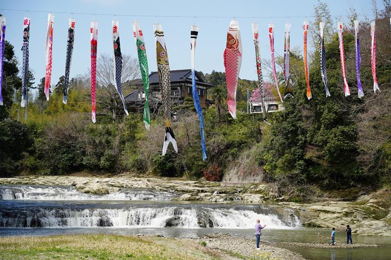 黒原不動滝にそよぐこいのぼり＝大多喜町
