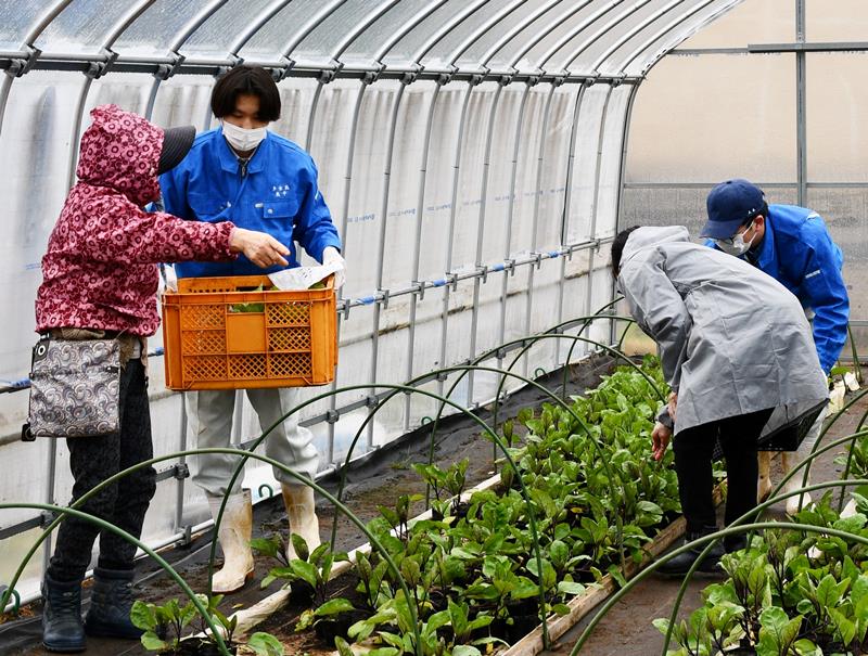 客と一緒に野菜の苗を選ぶ多古高の生徒たち＝多古町