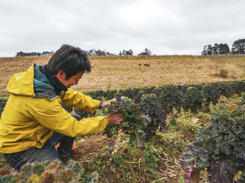 有機野菜を育てる木更津市の生産者（同団体提供）