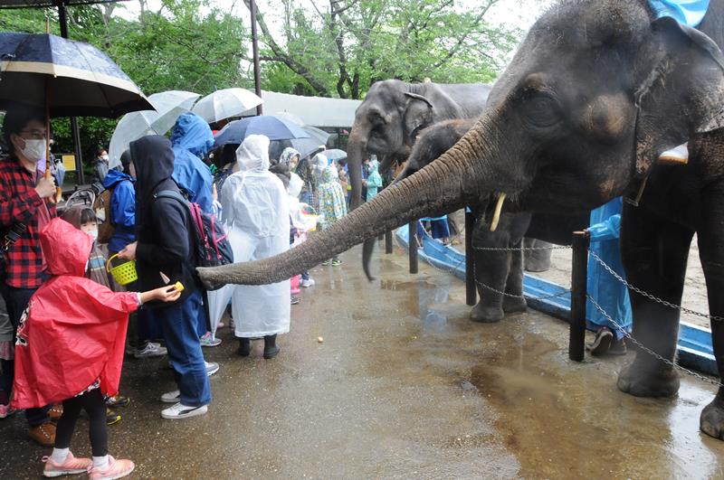 ＧＷ初日、家族連れを集めた市原ぞうの国＝２９日、市原市