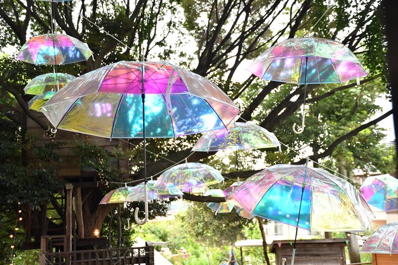 千葉公園と「椿森コムナ」に登場する「傘の森」＝イメージ、ＹｏｈａＳ運営事務局提供