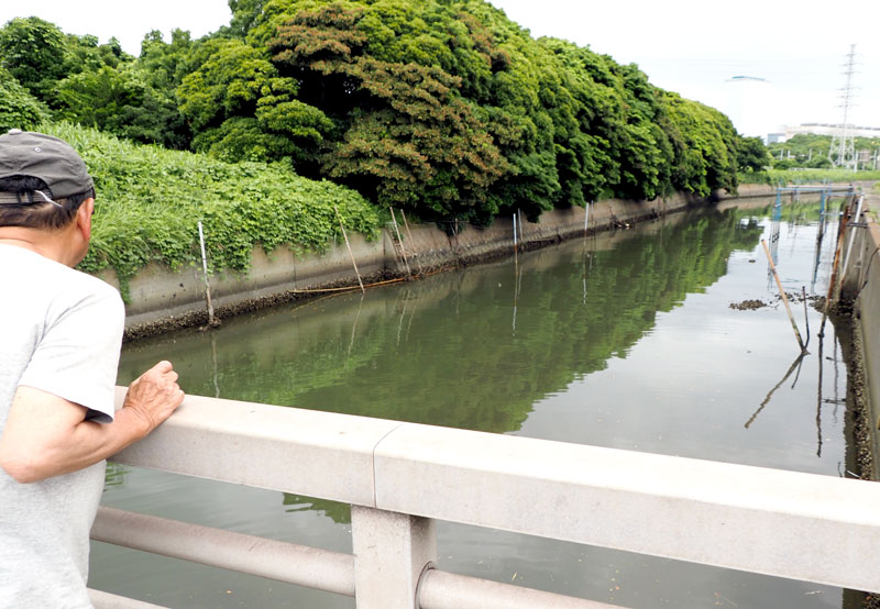 日本製鉄東日本製鉄所君津地区から脱硫液が流出した水路=22日、君津市