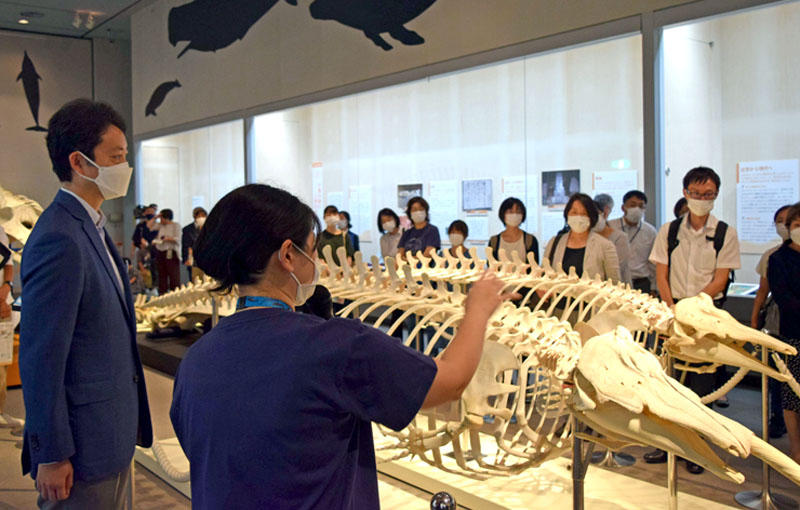 クジラの特別展を見る熊谷知事（左）＝１６日、千葉市中央区