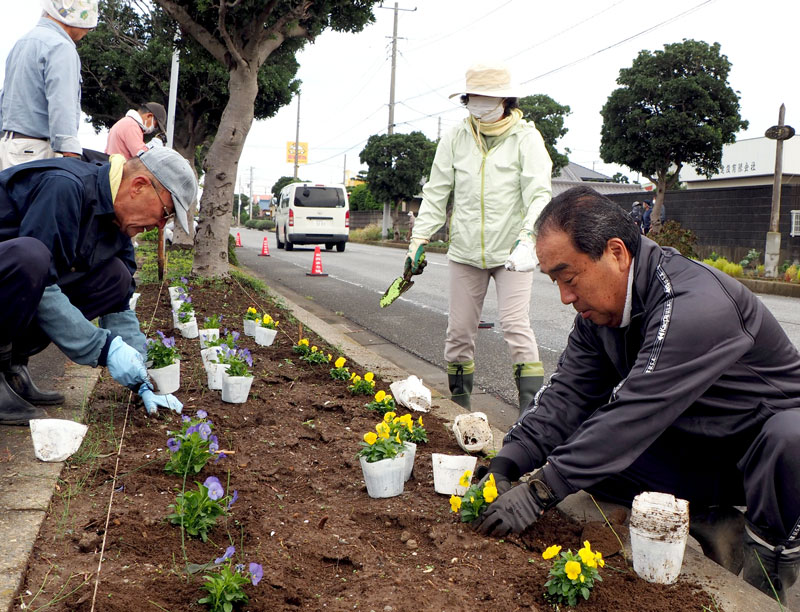 アクアラインマラソンを控え、ランナーをもてなすための花の植え付け作業＝木更津市