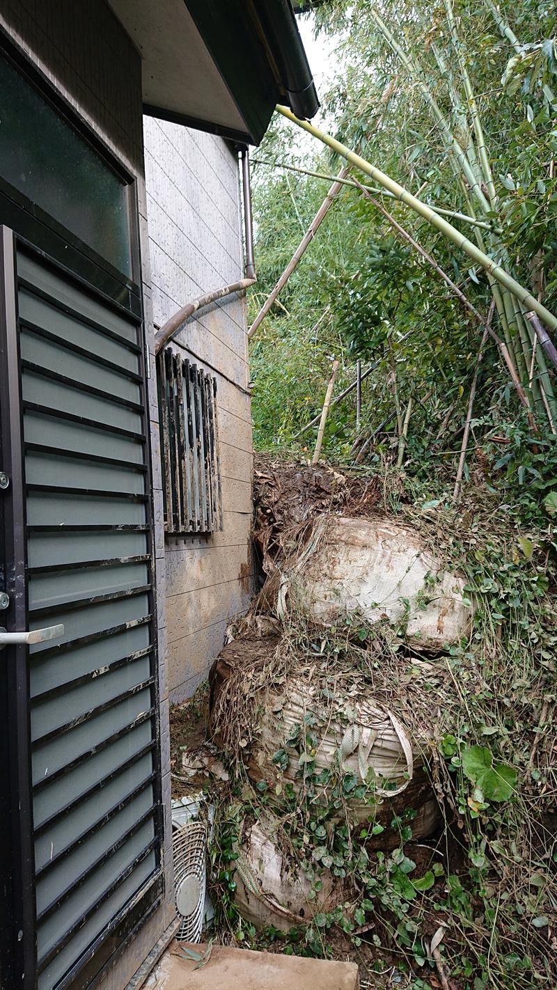 きよ子さんが土砂崩れに巻き込まれた現場=2019年10月27日、市原市(吉野さん提供)