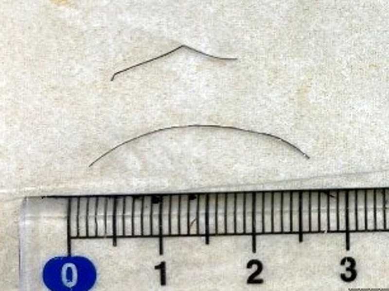 千葉市立千草台東小で提供された肉じゃがから見つかった長さ２センチほどの金属片（市提供）