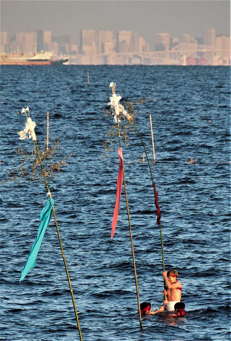 厳寒の海に梵天を突き立てる若者たち＝７日、木更津市