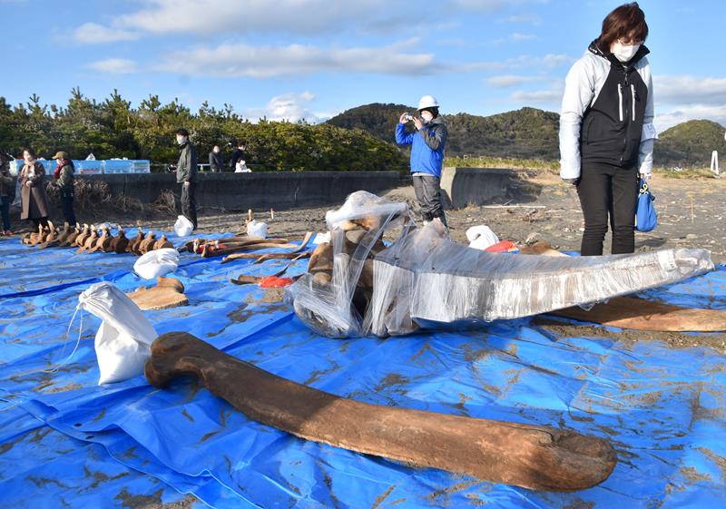 掘り起こされた頭骨などの骨