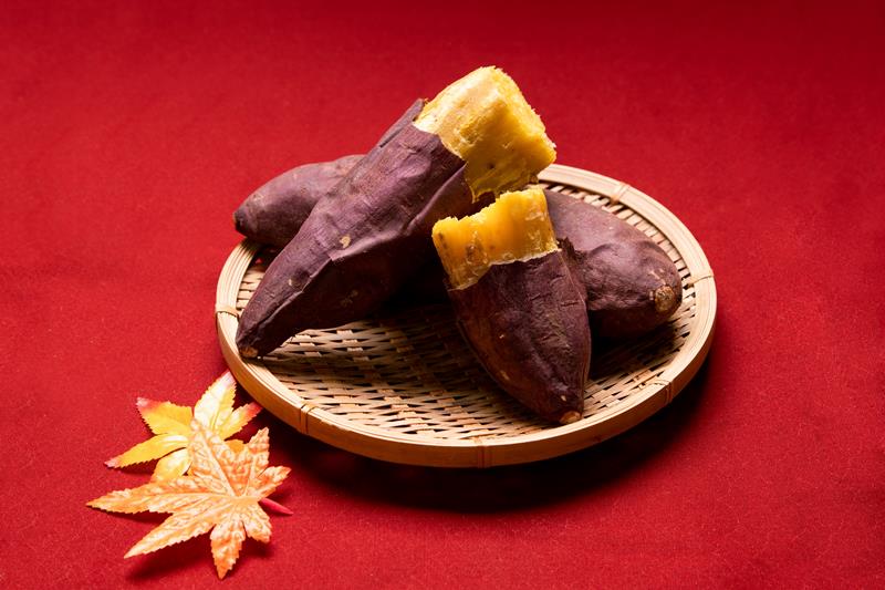 (グラフ、写真ともに県提供)