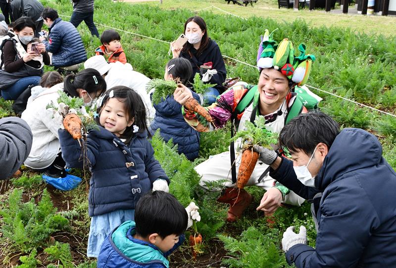 ヤサイちゃん(右から2人目)と一緒にニンジンを収穫する参加者=香取市