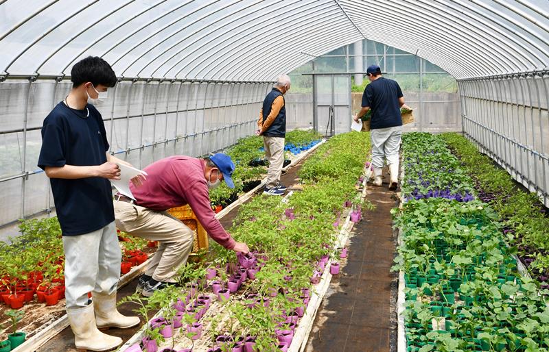 客と一緒に苗を選ぶ多古高の生徒たち＝２０日、多古町