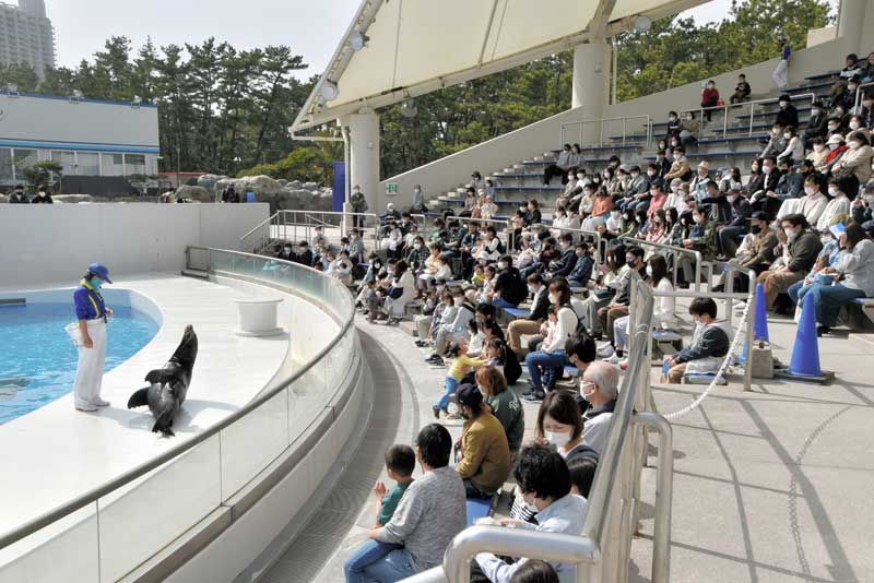 鴨川シーワールドでアシカのパフォーマンスを楽しむ家族連れら=2022年3月、鴨川市