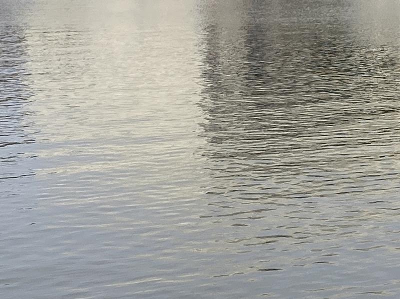 ※画像はイメージ