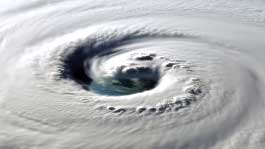 ※写真はイメージ