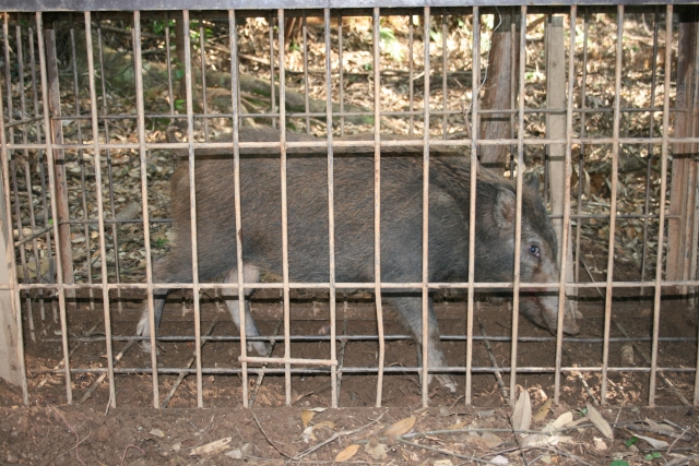 ※写真はイメージ