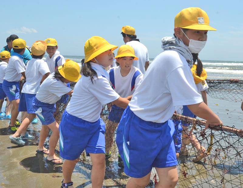 地引き網を体験する豊海小の児童ら＝１６日、九十九里町