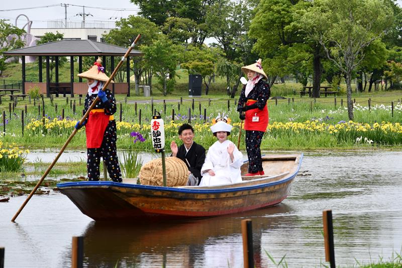 動画あり】嫁入り舟で晴れ姿披露 来園者の祝福に笑顔 水郷佐原あやめ