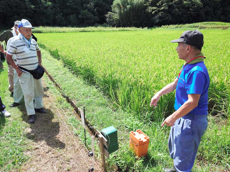 イノシシ対策の電気柵について説明する西国吉地区の農家の男性(右)=市原市
