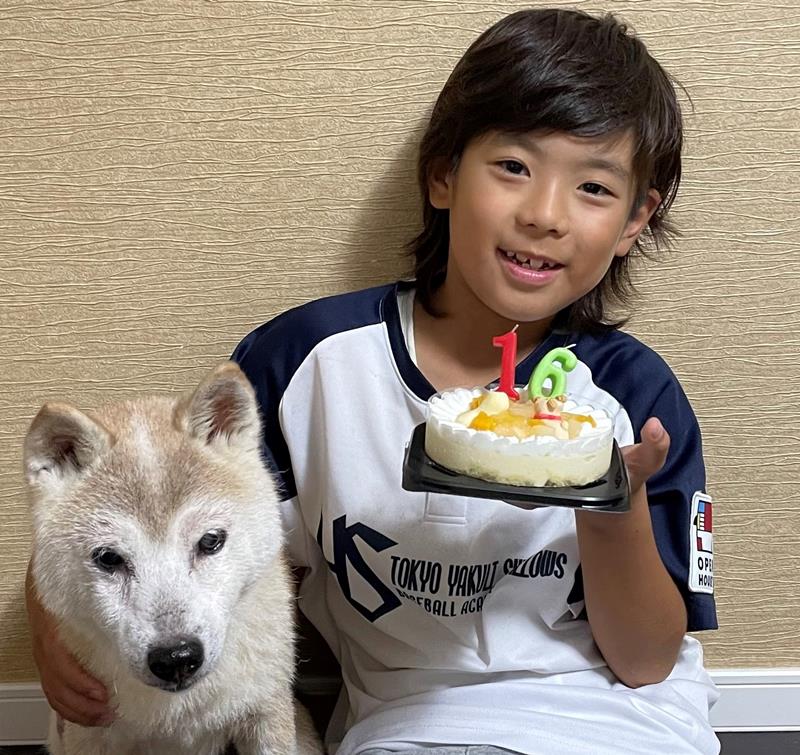 チャコの誕生日を祝うしゅん君。チャコは６月で１６歳になった（母親提供）