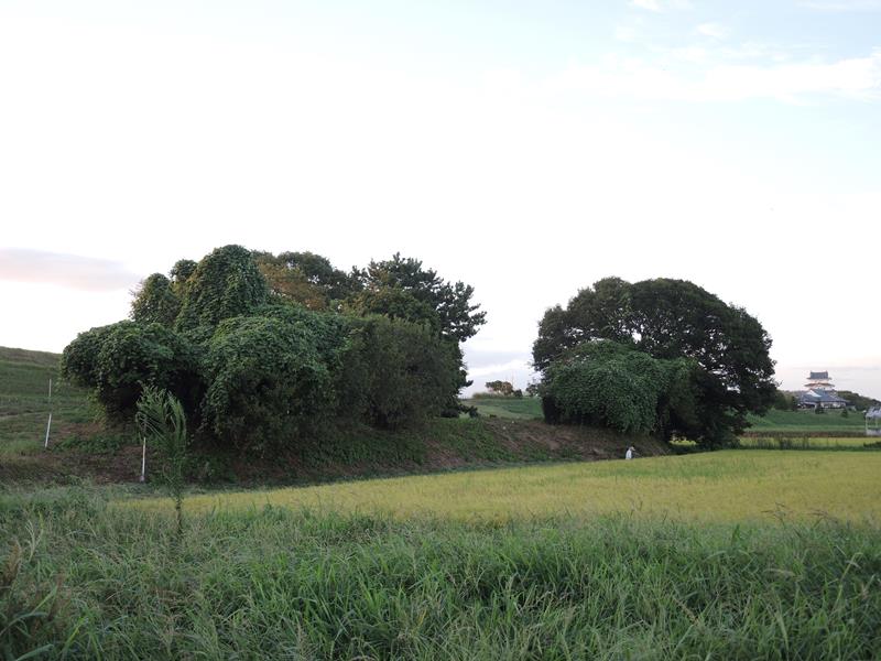 水田近くにひっそりたたずむ関宿城の本丸跡。右奥には同城を復元した県立関宿城博物館の雄姿が見える＝１１日、野田市