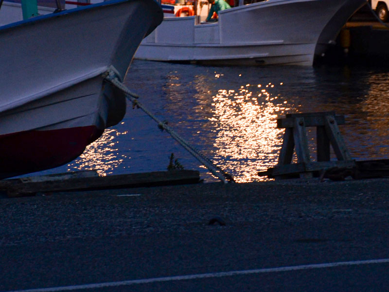 ※写真はイメージ